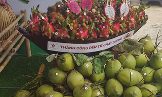 Cận cảnh lô trái cây đầu tiên được xuất khẩu vào thị trường EU