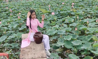 Cận cảnh hồ sen, vườn hoa hướng dương có một không hai ở Sài Gòn