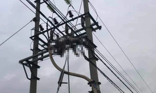 Người đàn ông trung niên tử vong trên cột điện cao thế ở Hải Phòng