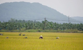 Một chủ tịch xã ở Hải Phòng tử vong tại nhà riêng