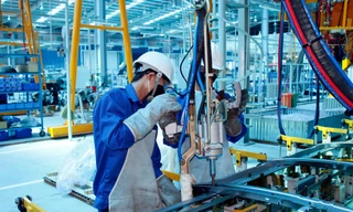 Ảnh minh họa, internet.