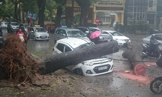 Tài xế Grab Taxi may mắn thoát chết khi cây đổ trúng đầu xe trong lúc anh đang chờ khách. 