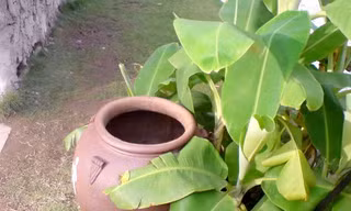 Mẹ bỏ con ba tháng tuổi vào lu nước rồi tự tử
