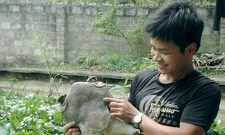 Hoàng Trọng Hợp lập nghiệp từ nguồn vốn vay của T.Ư Đoàn