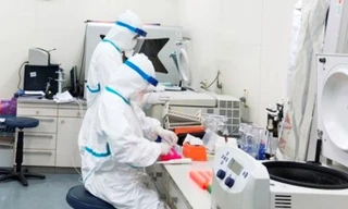 Ảnh minh hoạ: Internet