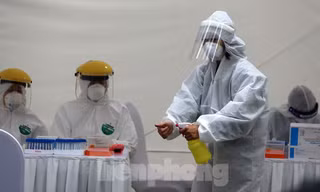 Các nhà khoa học Việt Nam nghiên cứu sản xuất vắc-xin phòng chống COVID-19