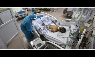 Ảnh: Mạnh Thắng