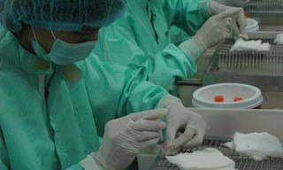 Chuyên gia nói về chủng virus mới khiến COVID-19 lây lan nhanh