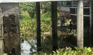 Người đàn ông tử vong dưới ao cá sau nhà