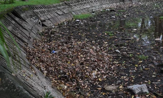 Một số hồ nước ở Hà Nội cạn khô, trơ đáy