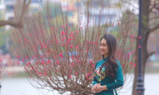 Đào bung sắc bên thảm hoa rực rỡ quanh Hồ Gươm đón Tết Nguyên đán 2023