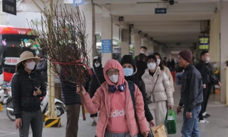 Vác cành đào, mang túi quà rời Thủ đô về quê ăn Tết