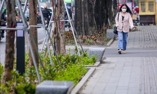 Cận cảnh hàng ghế đá dưới cây hoa sữa cổ thụ trên đường đẹp nhất Hà Nội