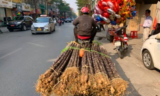 Mía lộc xuống phố Hà Nội ngày 30 Tết, chờ đón giao thừa