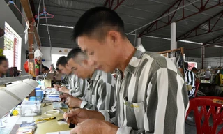 Báo động tình trạng tài xế sử dụng ma túy