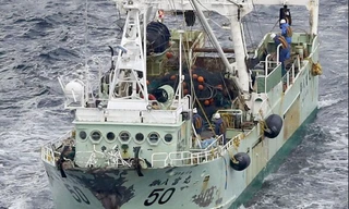 Chiếc tàu cá Nhật Bản trong vụ đâm va với tàu treo cờ Belize. (Ảnh: Kyodo)