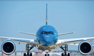 Đã đưa 350 người Việt ở Mỹ về nước