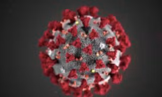 Mỹ có thể đã biết từ rất sớm về nguy cơ xảy ra đại dịch virus corona