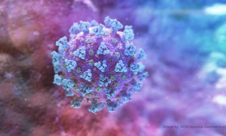 Hình ảnh virus corona gây ra đại dịch COVID-19