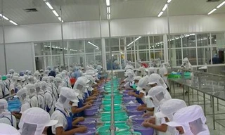 Doanh nghiệp 'quay quắt' vì thiếu nguyên liệu hải sản