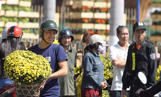 Đổ xô giành giật hoa xuân ở Đà Nẵng