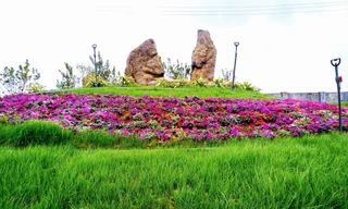 Hàng trăm loại hoa được trồng tại thung lũng hoa Bái Đính. Ảnh: Minh Đức