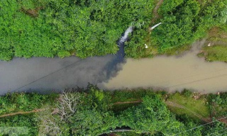 Tiềm ẩn nhiều nguy cơ ô nhiễm ở hồ Đầm Bài.