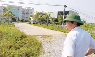 Nhà máy Ehtanol Phú Thọ khởi công rồi "đắp chiếu" nhiều năm. Ảnh: Minh Đức