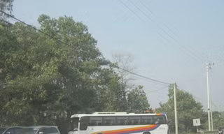 Ngày 11-1, nhóm nhà báo cùng các cán bộ hiện trường của ENV ghi nhận ít nhất một xe bus đưa khách du lịch Hàn Quốc tới trại gấu Đất Việt, thuộc Cty Đất Việt, tại thôn Cầu Trắng, xã Đại Yên, TP Hạ Long (nguồn ENV)