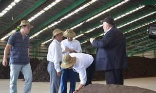Tập trung rác để phát điện, sản xuất phân compost tạm ngưng