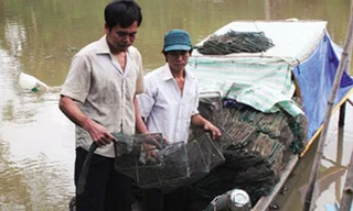 Kỳ tích chàng trai mù hằng ngày bơi xuồng, lội sông bắt cá