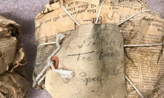 20 gói giấy báo kèm ghi chú bằng bút chì là những báu vật cổ sinh vật học thực sự - Ảnh: Clive Coy