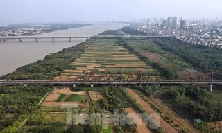 Hà Nội 'siết' thu tiền đất, xử nghiêm trường hợp chây ỳ làm hồ sơ thuê đất