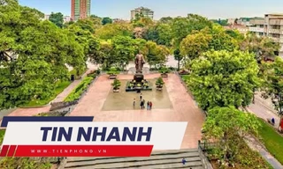 TIN NHANH: Chính thức quyết định số phận hàng cây cổ thụ ở vườn hoa Lý Thái Tổ ở hồ Gươm