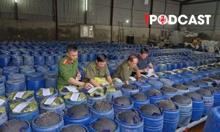 NÓNG 19/4: Bắt 4 chủ cơ sở ngâm giá đỗ bằng hóa chất 'nước kẹo', đã bán 3.500 tấn
