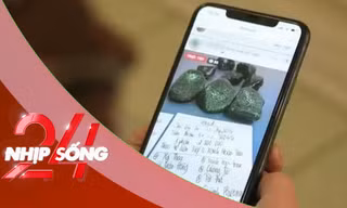 NHỊP SỐNG 24: Lừa đảo ‘đổ thạch’ trên mạng; Kỷ lục hưởng lương hưu trẻ nhất thế giới