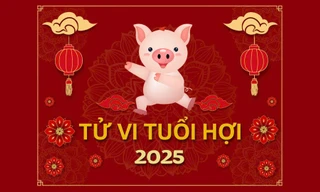 TỬ VI TUỔI HỢI 2025: Cách vượt qua hạn Tam Tai và Thái Tuế vây hãm
