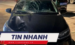 TIN NHANH: Ôtô gây tai nạn chết người, điên cuồng bỏ chạy; Chó becgie xông vào trường cắn 2 học sinh