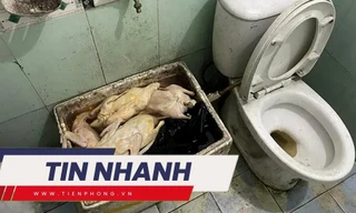 TIN NHANH: Làm rõ việc quán ăn dùng vịt có giòi, để cạnh bồn cầu