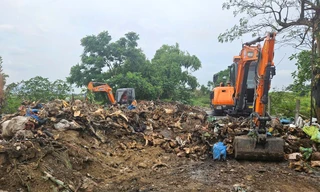 Nghệ An: Thu dọn 'nghĩa địa đầu bò'