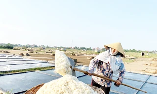 Tự ý rút hơn nửa tỷ tiền hỗ trợ diêm dân để chi tiêu