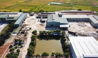 Nghệ An chỉ đạo xử lý sai phạm tại công ty có 4 công nhân tử vong