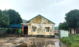 Thực hư quyết định 'xây dựng nhà điều trị, khu cách ly chống COVID-19' khi đã hết dịch?