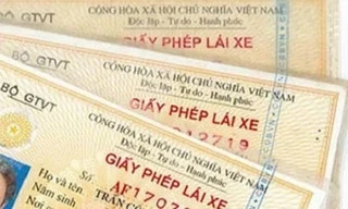 Nghệ An phát hiện hơn 40 tài xế dùng giấy phép lái xe giả