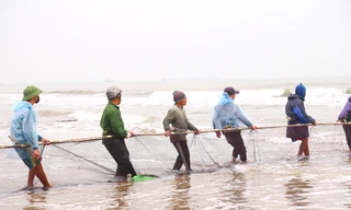 Theo ngư dân 'đi giật lùi' trên biển giữa giá lạnh