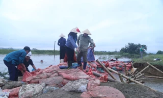 Hình ảnh người dân nỗ lực 'vá' đê bị vỡ ở Nghệ An