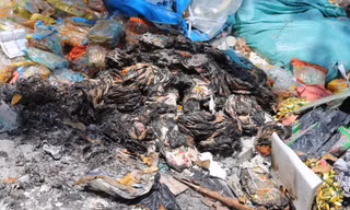 Kinh hãi rác thải ngập ngụa trên tuyến đường ven sông Vinh