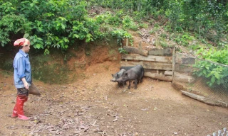 Trao 'cần câu' giúp bà con miền núi Nghệ An thoát nghèo