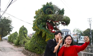 Bất ngờ diện mạo mới của cặp rồng xanh ở Vinh sau 'thẩm mỹ'