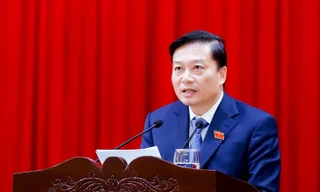 Chủ tịch tỉnh Nghệ An làm tổ trưởng tổ công tác chống buôn lậu, gian lận thương mại, hàng giả